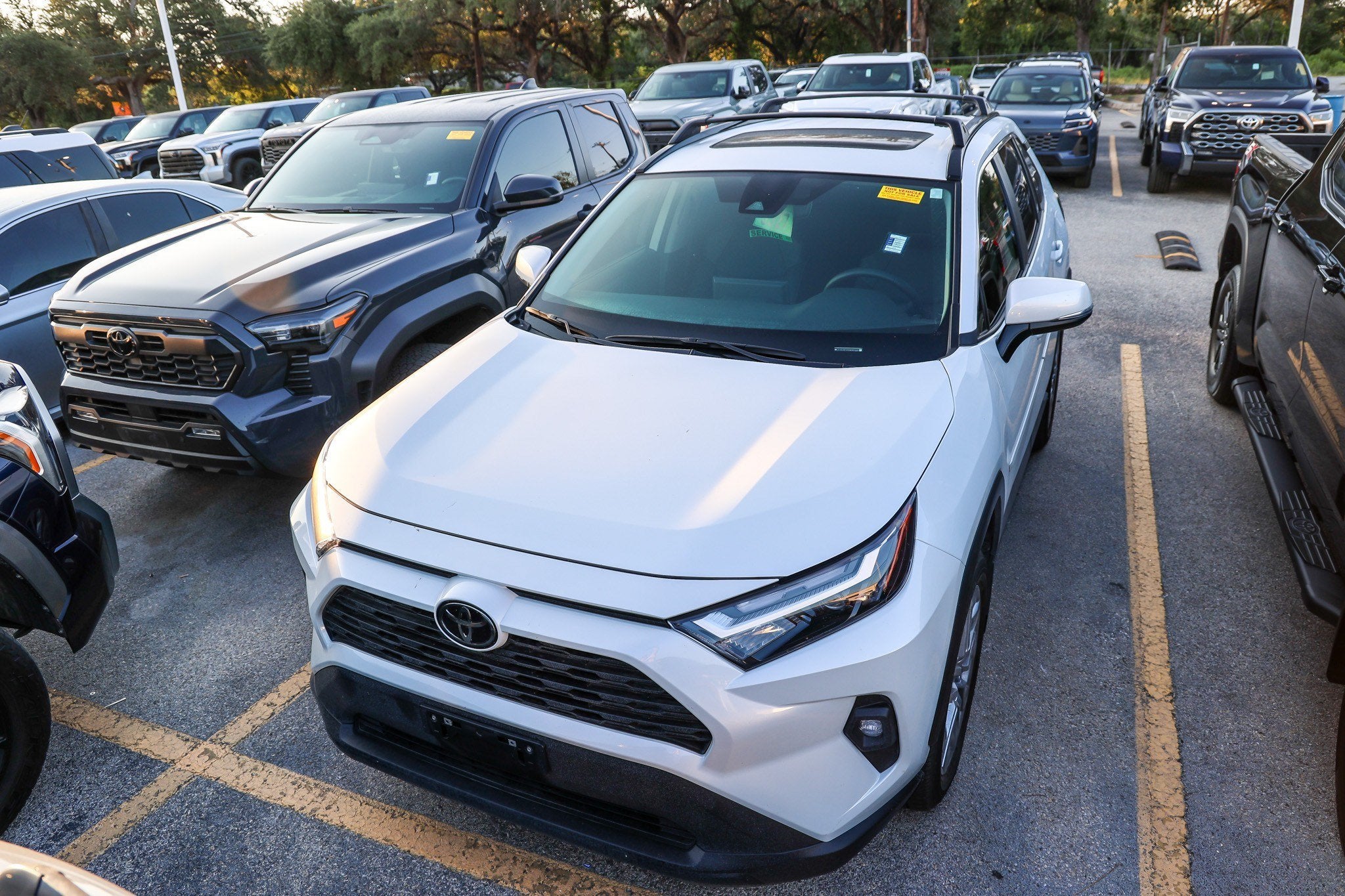 2025 Toyota RAV4 XLE Premium