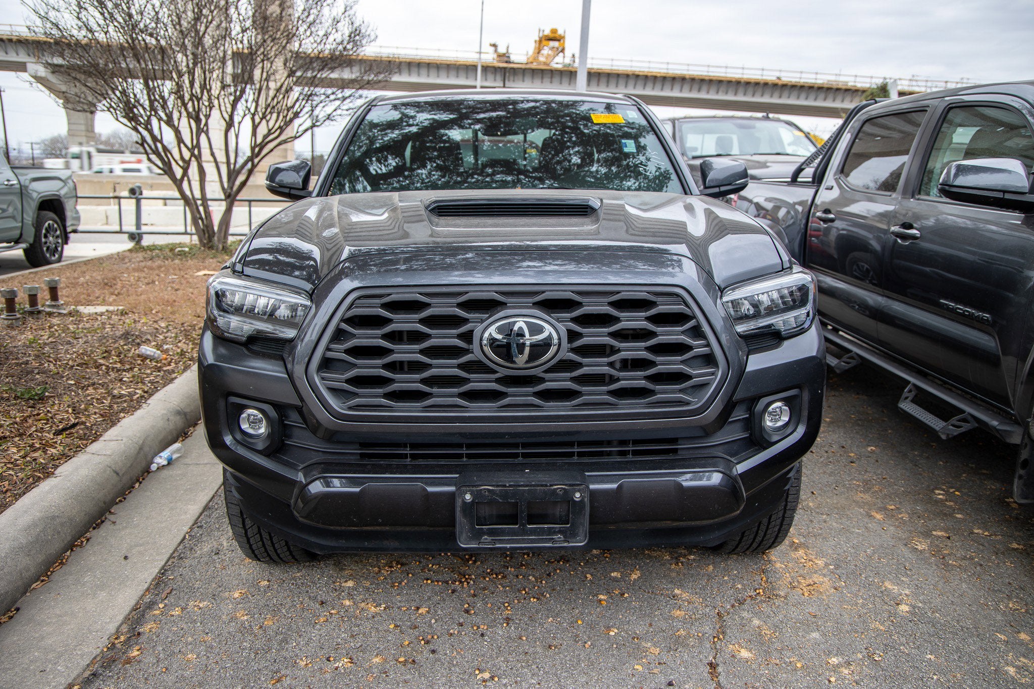 2023 Toyota TACOMA TRD SPORT TRD Sport