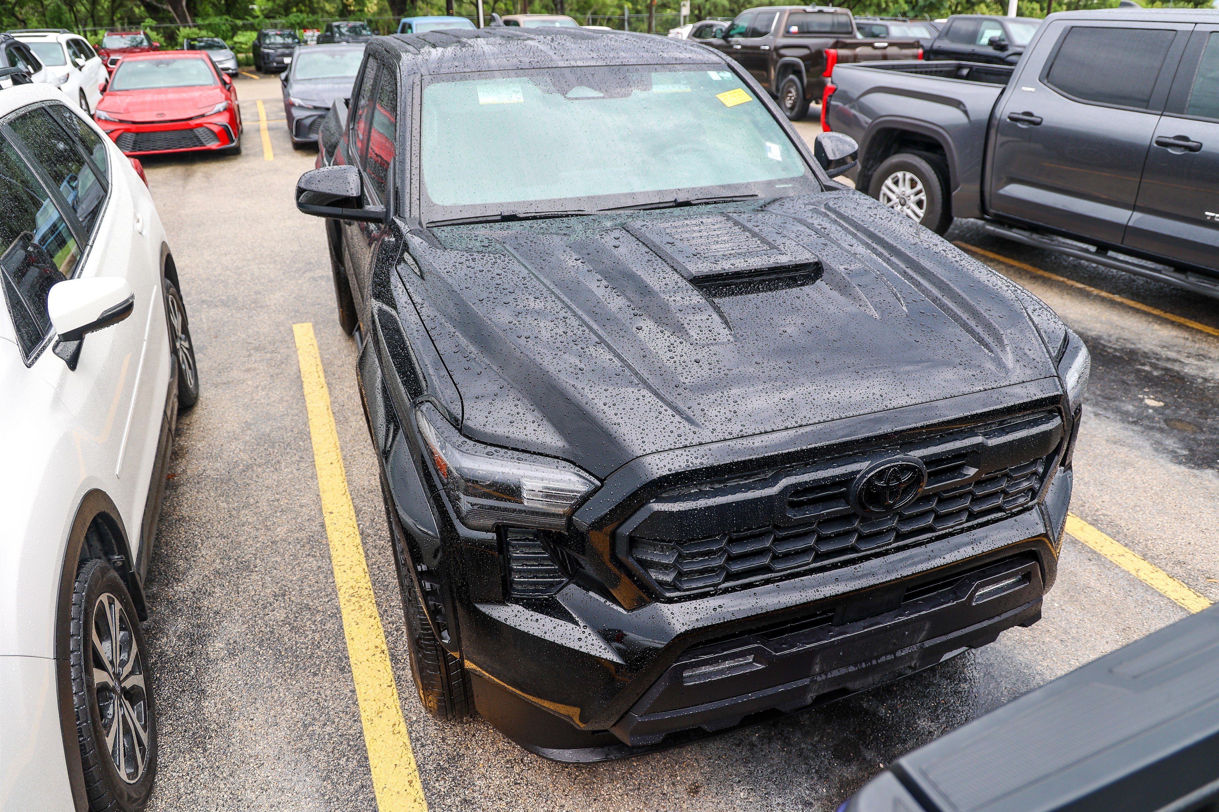 2024 Toyota Tacoma TRD Sport