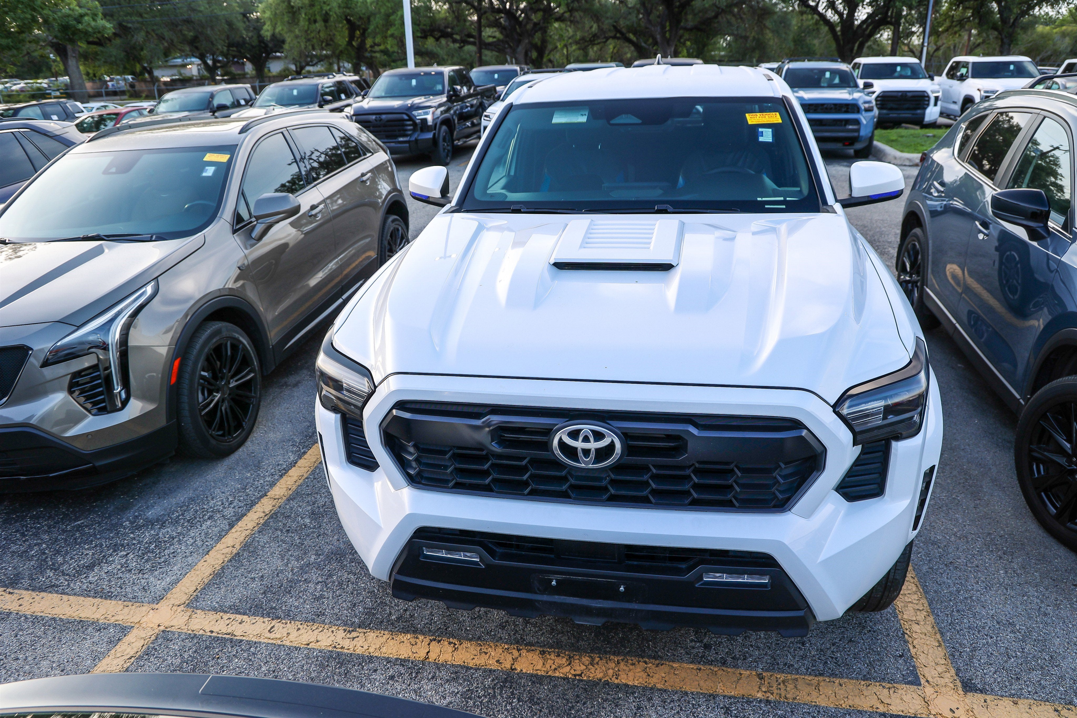 2024 Toyota Tacoma 2WD TRD Sport