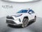 2025 Toyota RAV4 HYBRID Hybrid XLE Premium