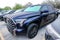 2023 Toyota TUNDRA 4X4 Platinum