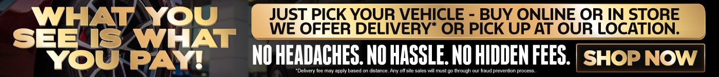 what you see is what you pay